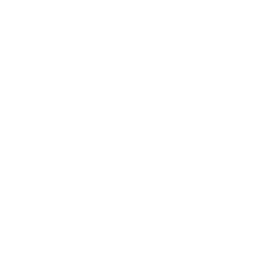 briefcase icon